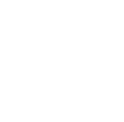 Joy Santosi Maa